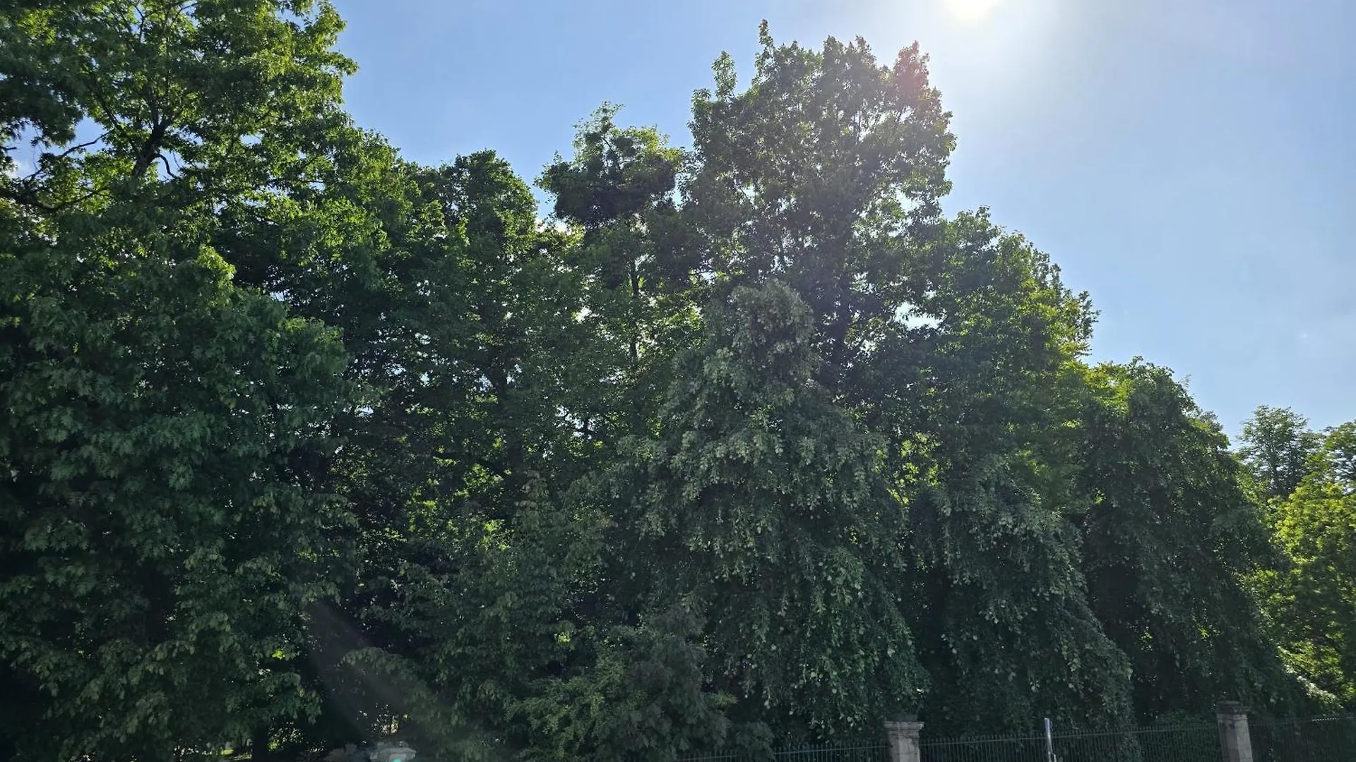 Apartamento Charmant Appartement Chambre, Cuisine Et Salle De Bain Avec Balcon Sur Jardin Massey Tarbes França